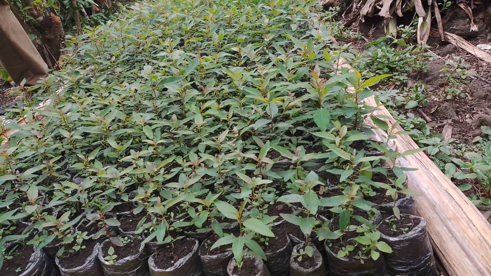 Un Moment de Joie et de Partage à l’Orphelinat Source de Vie