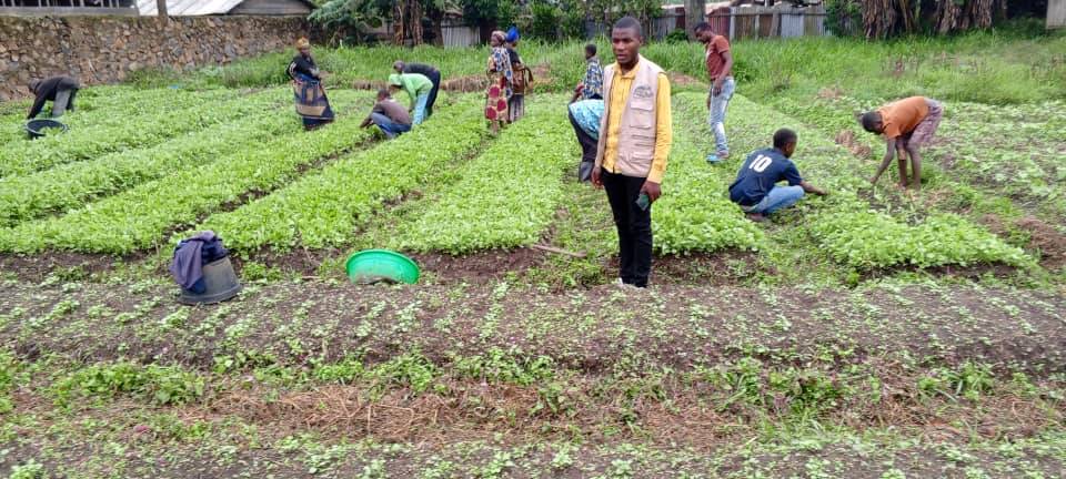 Contribuer à la réduction de l’insécurité alimentaire en République Démocratique du Congo par le renforcement des capacités agricoles des communautés paysannes